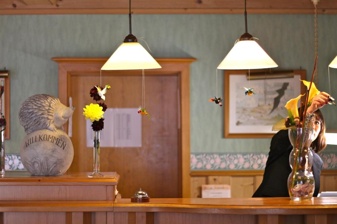 Hotel Igelstadt Fürstenberg Extérieur photo